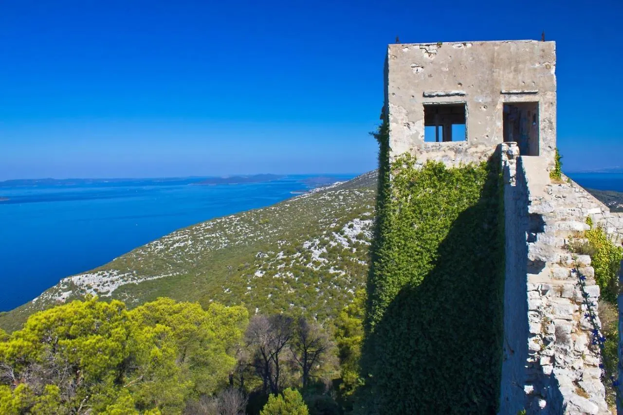 Apartment In Poljana With Sea View, Terrace, Air Conditioning, Wifi 3617-5 0*, Poljana (Ugljan) Croacia