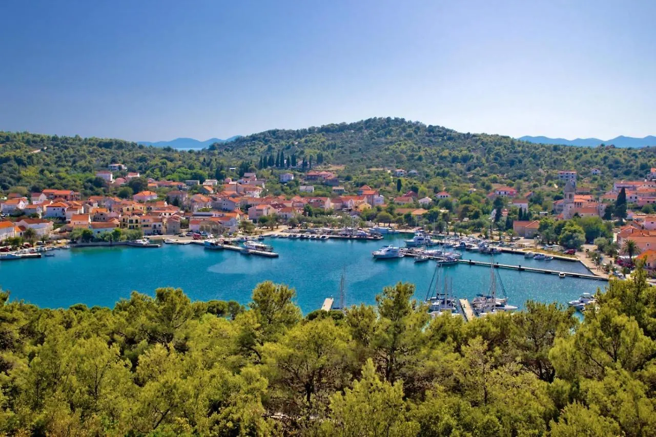 Apartment In Poljana With Sea View, Terrace, Air Conditioning, Wifi 3617-5 Croacia