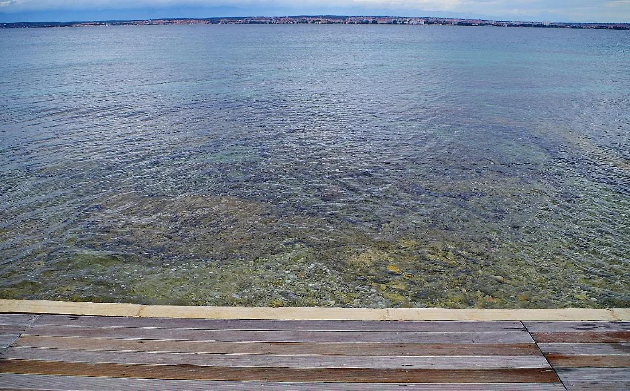 Apartment In Poljana With Sea View, Terrace, Air Conditioning, Wifi 3617-5