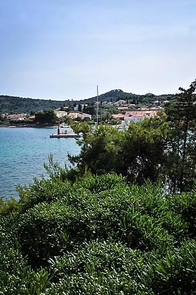 Apartment In Poljana With Sea View, Terrace, Air Conditioning, Wifi 3617-5 0*, Poljana (Ugljan)